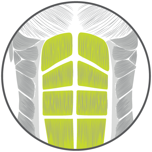 4 core muscle group support