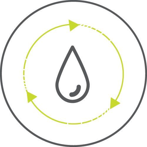 Increased blood flow and circulation